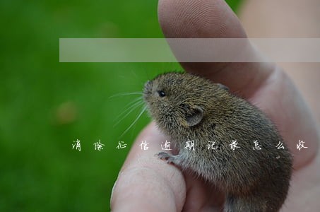 消除征信逾期记录怎么收费 消除征信逾期记录怎么收费