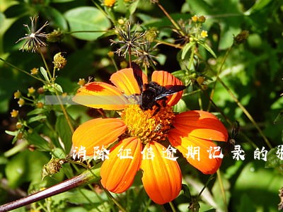 消除征信逾期记录的渠道 消除征信逾期记录的渠道