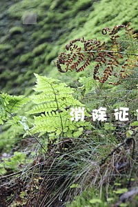消除征信逾期麻烦吗 消除征信逾期麻烦吗