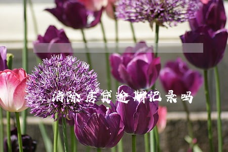 消除房贷逾期记录吗 消除房贷逾期记录吗