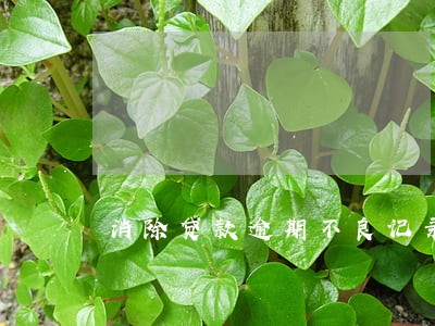 消除贷款逾期不良记录 消除贷款逾期不良记录