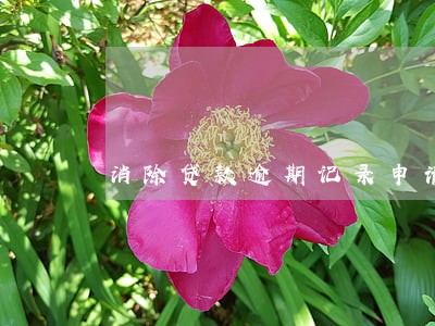消除贷款逾期记录申请书