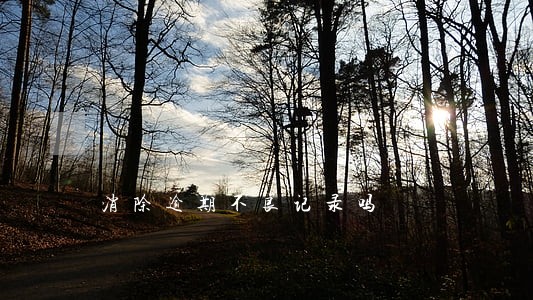 消除逾期不良记录吗 消除逾期不良记录吗