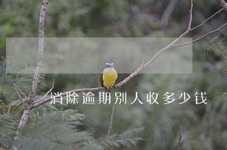 消除逾期别人收多少钱 消除逾期别人收多少钱