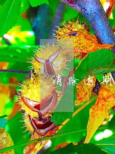 消除逾期多久更改 消除逾期多久更改