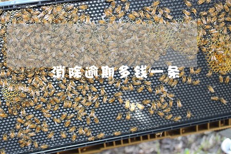 消除逾期多钱一条