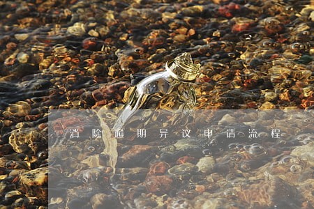 消除逾期异议申请流程 消除逾期异议申请流程