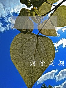 消除逾期征信不良记录 消除逾期征信不良记录