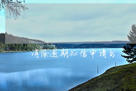 消除逾期征信申请书 消除逾期征信申请书