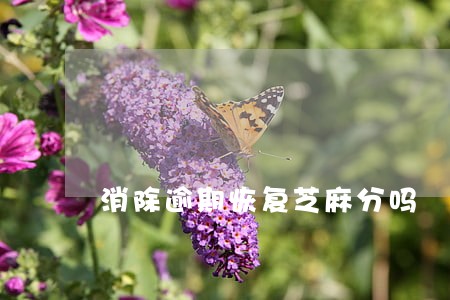 消除逾期恢复芝麻分吗 消除逾期恢复芝麻分吗