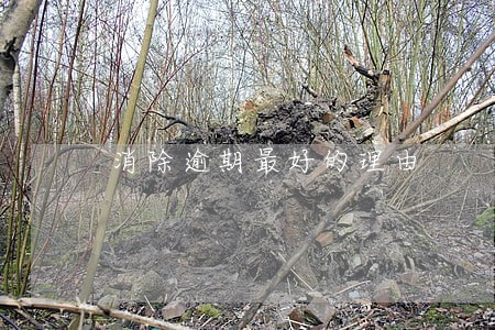消除逾期最好的理由 消除逾期最好的理由