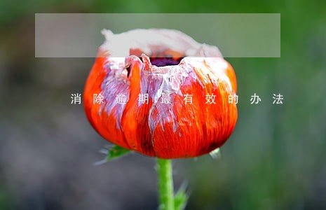 消除逾期最有效的办法