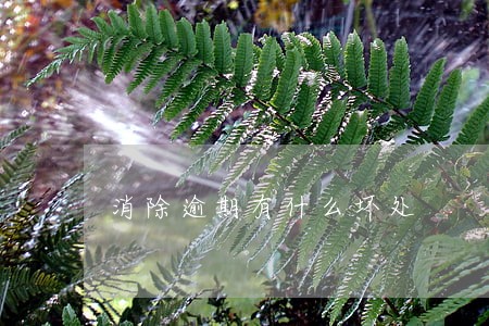 消除逾期有什么坏处 消除逾期有什么坏处