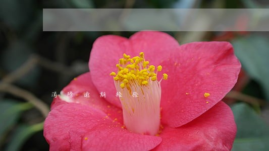 消除逾期检验 消除逾期检验