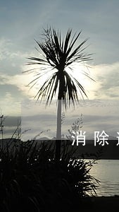 消除逾期的后果 消除逾期的后果