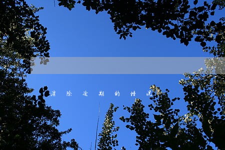 消除逾期的情况
