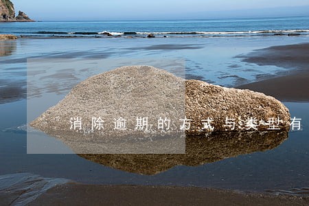 消除逾期的方式与类型有哪些 消除逾期的方式与类型有哪些