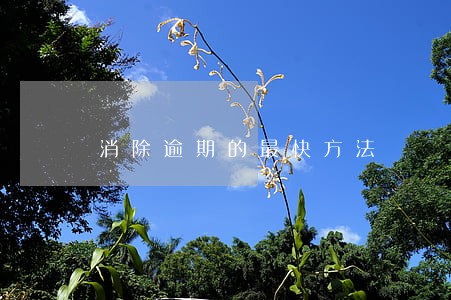 消除逾期的最快方法 消除逾期的最快方法