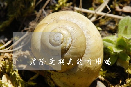 消除逾期真的有用吗 消除逾期真的有用吗