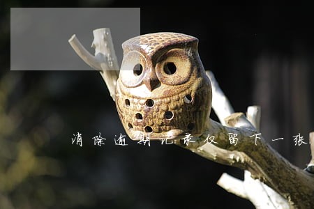 消除逾期记录仅留下一张卡 消除逾期记录仅留下一张卡
