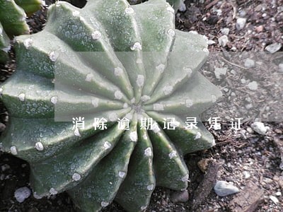 消除逾期记录凭证 消除逾期记录凭证