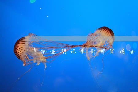 消除逾期记录到哪里消除 消除逾期记录到哪里消除