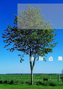消除逾期记录同时消除贷款记录 消除逾期记录同时消除贷款记录