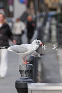消除逾期记录是不是真能消除 消除逾期记录是不是真能消除
