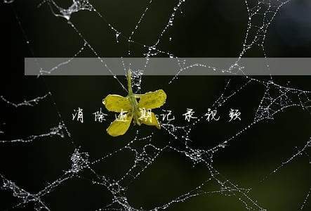 消除逾期记录视频 消除逾期记录视频