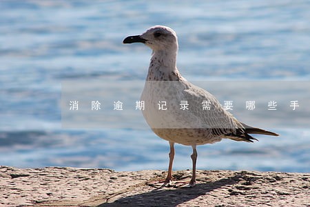 消除逾期记录需要哪些手续 消除逾期记录需要哪些手续