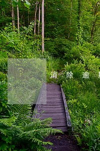 消除逾期话术 消除逾期话术
