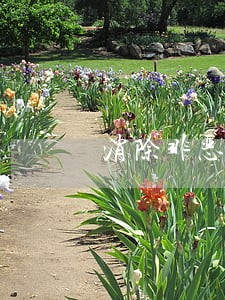 消除非恶意逾期 消除非恶意逾期