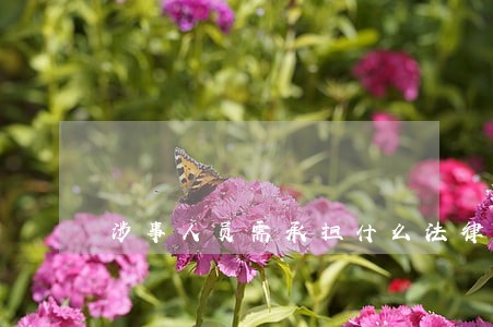 涉事人员需承担什么法律责任 涉事人员需承担什么法律责任