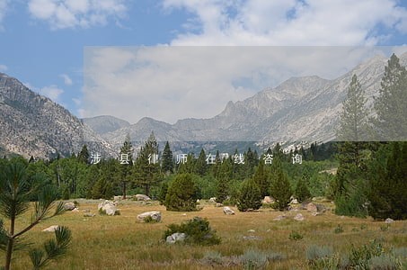 涉县律师在线咨询 涉县律师在线咨询