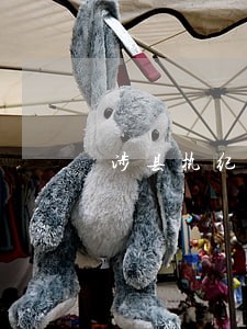 涉县执纪执法常用法规知识题库 涉县执纪执法常用法规知识题库