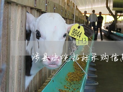 涉县法院招标采购信息 涉县法院招标采购信息