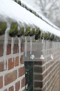 涉及专业领域的诉讼纠纷中 涉及专业领域的诉讼纠纷中