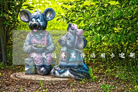 涉及刑事案件信用卡逾期 涉及刑事案件信用卡逾期