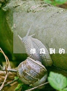涉及到的人都有法律责任吗 涉及到的人都有法律责任吗