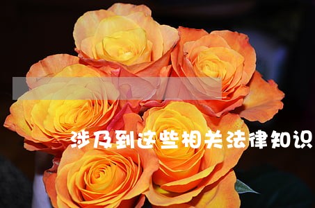 涉及到这些相关法律知识你的懂 涉及到这些相关法律知识你的懂