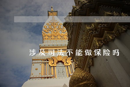 涉及司法不能做保险吗 涉及司法不能做保险吗