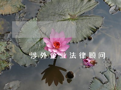 涉外企业法律顾问 涉外企业法律顾问