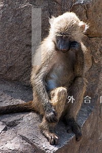 涉外合同纠纷现象 涉外合同纠纷现象