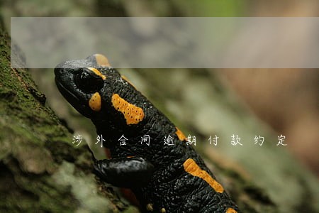 涉外合同逾期付款约定 涉外合同逾期付款约定