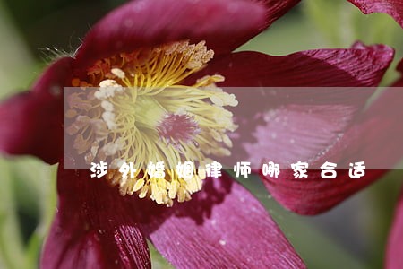 涉外婚姻律师哪家合适