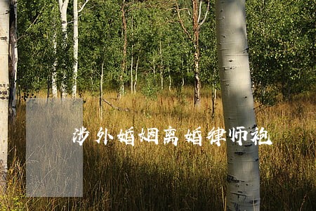 涉外婚姻离婚律师袍 涉外婚姻离婚律师袍