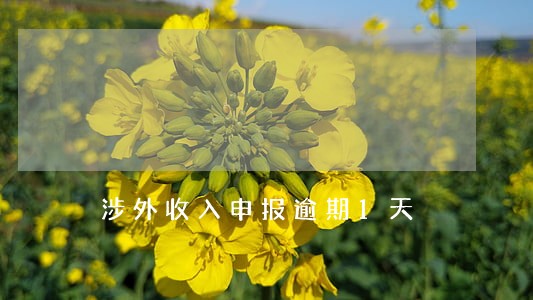 涉外收入申报逾期1天 涉外收入申报逾期1天
