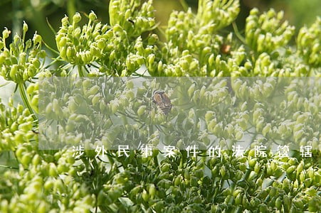 涉外民事案件的法院管辖权 涉外民事案件的法院管辖权