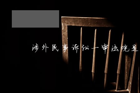 涉外民事诉讼一审法院是中院 涉外民事诉讼一审法院是中院