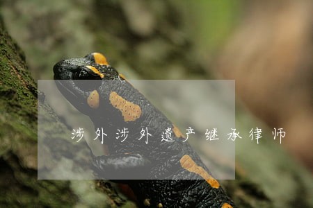 涉外涉外遗产继承律师 涉外涉外遗产继承律师